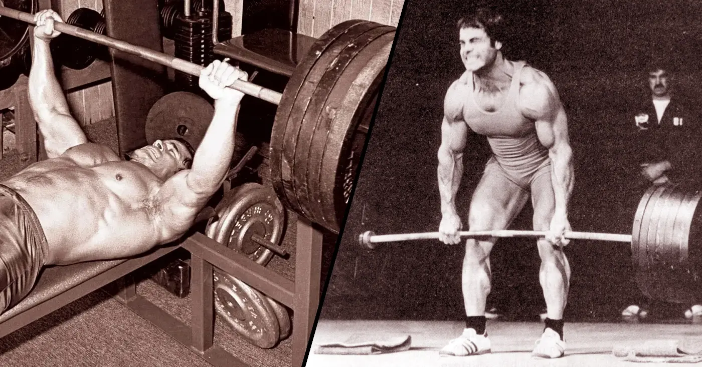 Exercises Per Muscle Group