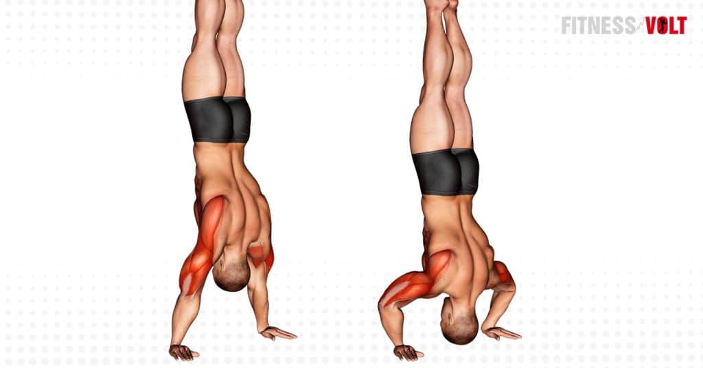 Handstand PushUp Exercise Guide and Videos Fitness Volt