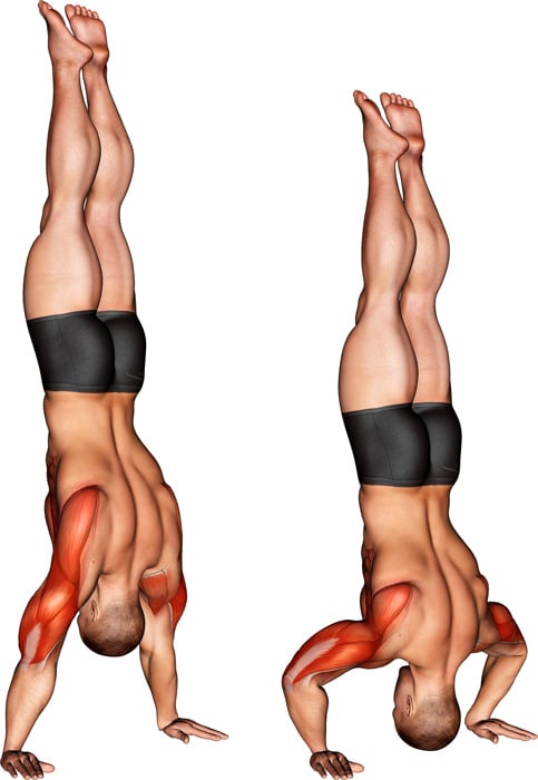 Handstand Push-Up