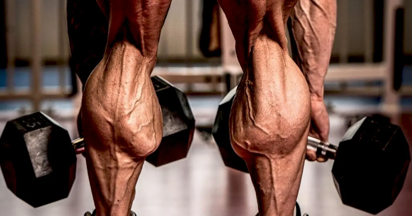 Turn Your Calves Into Bulls