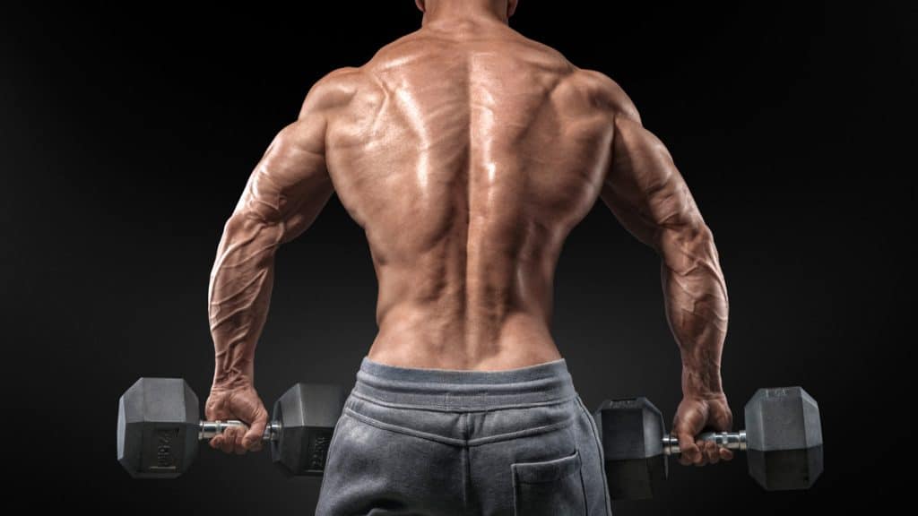 Dumbbell Back Exercises