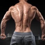 Dumbbell Back Exercises