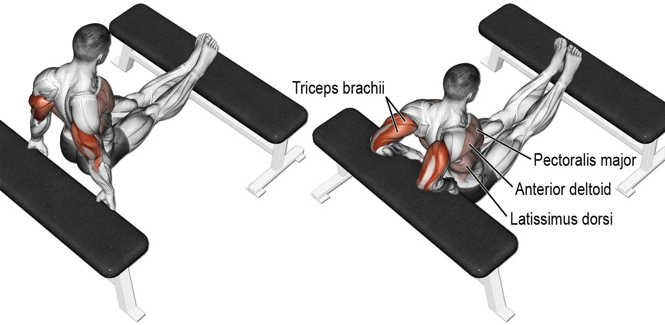 Chest Dips vs. Triceps Dips What’s the Difference? Fitness Volt