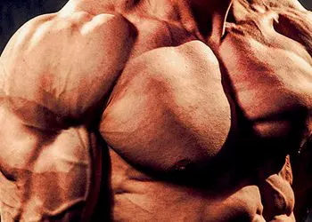 Bodyweight Shoulder Exercises