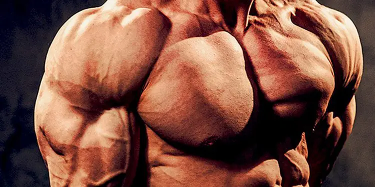 Bodyweight Shoulder Exercises