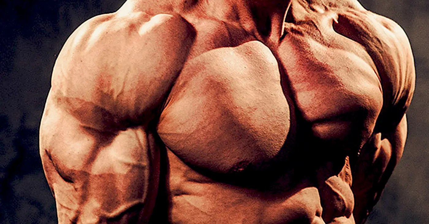 Bodyweight Shoulder Exercises