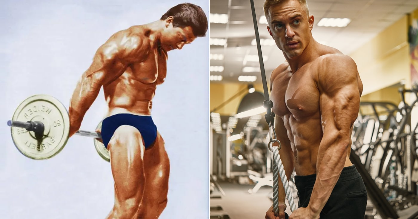 11 most effective tricep exercises and workouts
