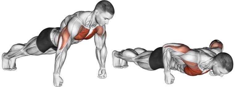 How to Do Knuckle Push-Ups: Muscles Benefits, and Drawbacks – Fitness Volt