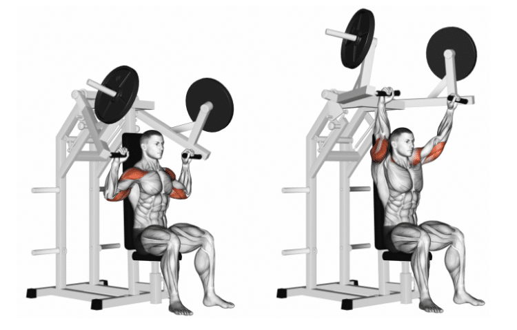 Shoulder Press Machine Guide How To Benefits Muscles Worked Shoulder Press Machine Guide How To Benefits Muscles Worked