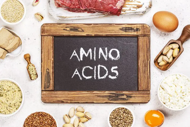 Food rich of amino acids
