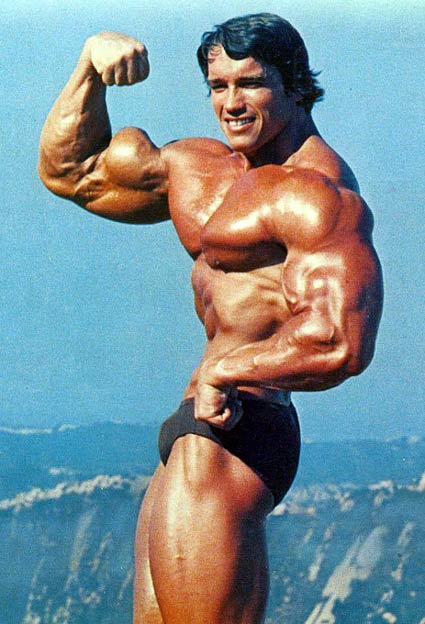 Arnold Schwarzenegger Bicep Peak