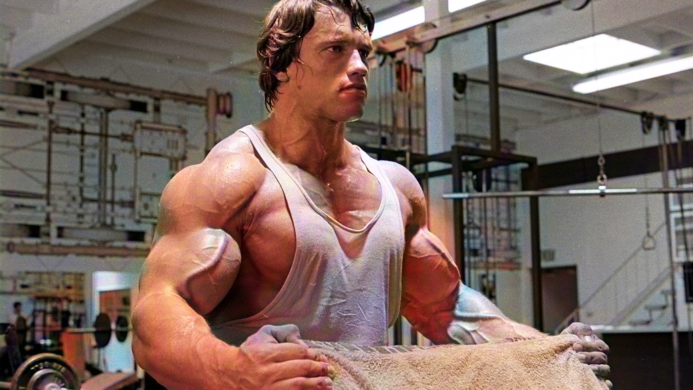 Arnold Schwarzenegger Volume Workout