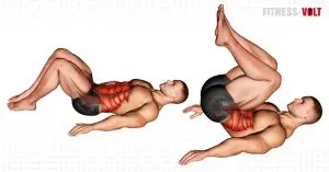 Bent Knee Hip Raise