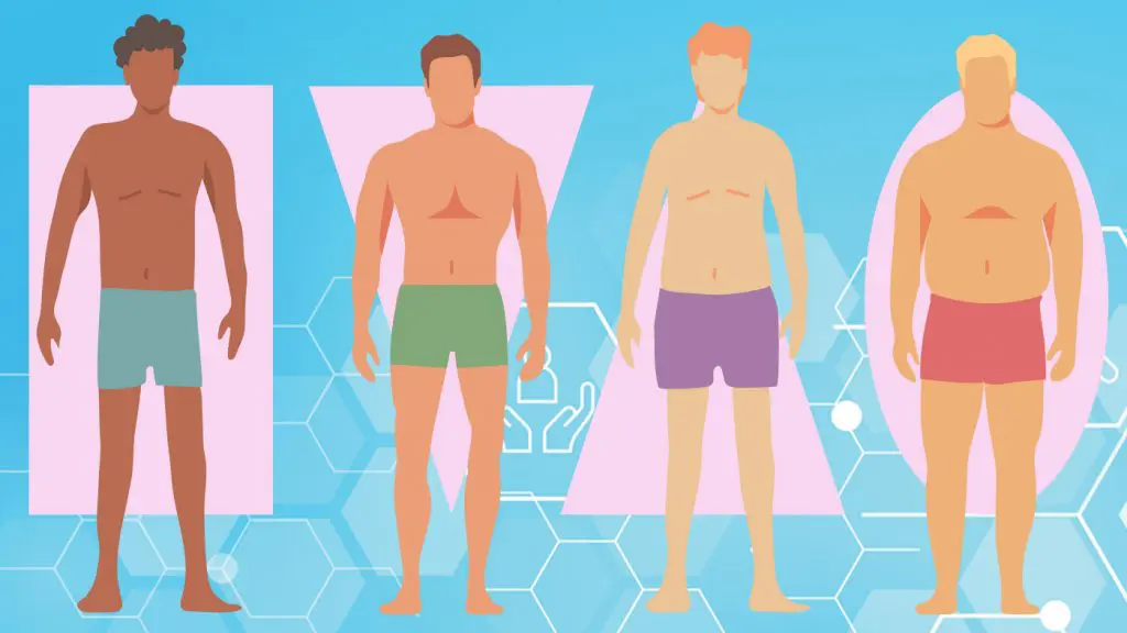 Body Type Quiz: Discover Your Unique Somatotype – Endomorph, Ectomorph, or Mesomorph?