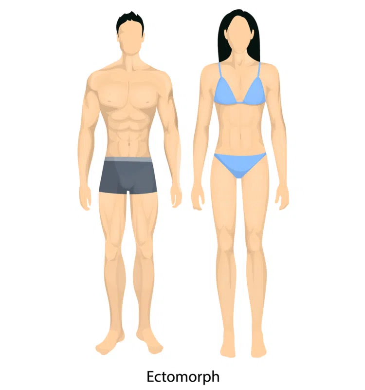 Tipo de cuerpo ectomorfo