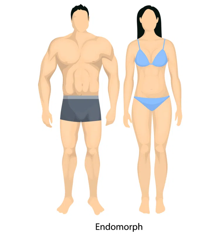 Tipo de cuerpo endomorfo