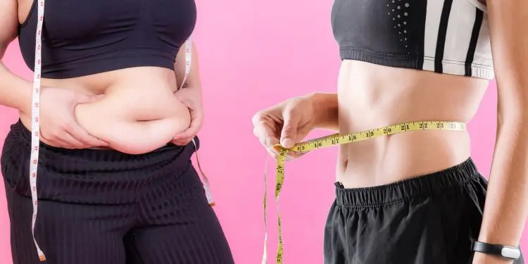 Gym Workout For Beginners To Lose Weight