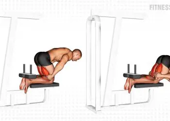 Inverse Leg Curl With Bench Support