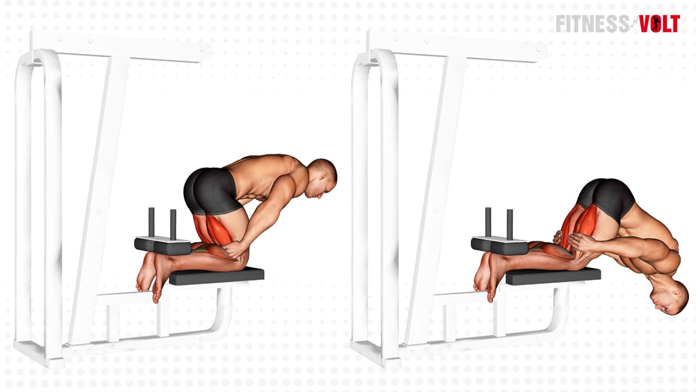 Inverse Leg Curl (Bench Support) Exercise Guide and Videos