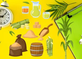 Which Sweeteners Can Break Fastting