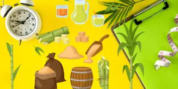 Which Sweeteners Can Break Fastting