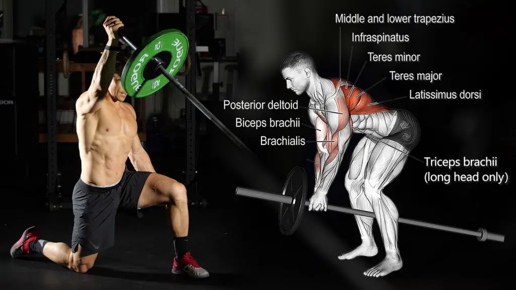Best Landmine Exercises