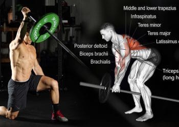 Best Landmine Exercises