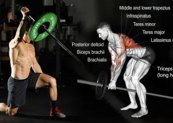 Best Landmine Exercises