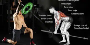 Best Landmine Exercises