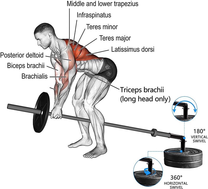 The 19 Best Landmine Exercises for Building Muscle Mass and Strength ...