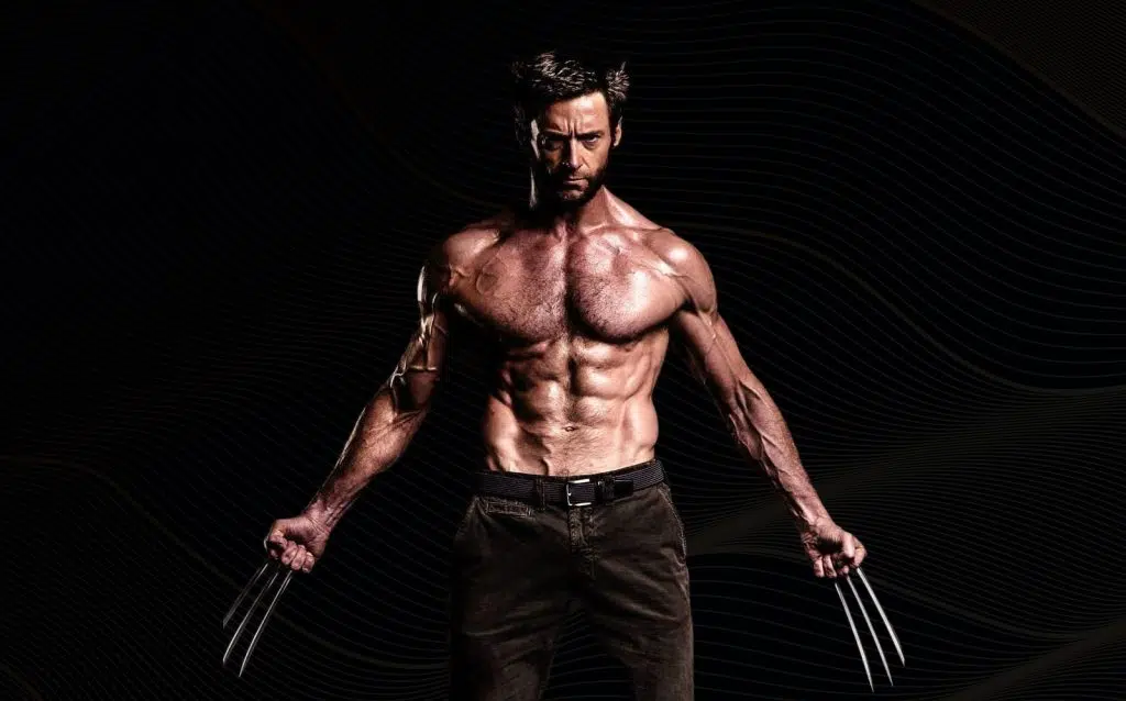 Wolverine Program