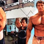 Arnold Press Guide