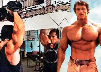 Arnold Press Guide