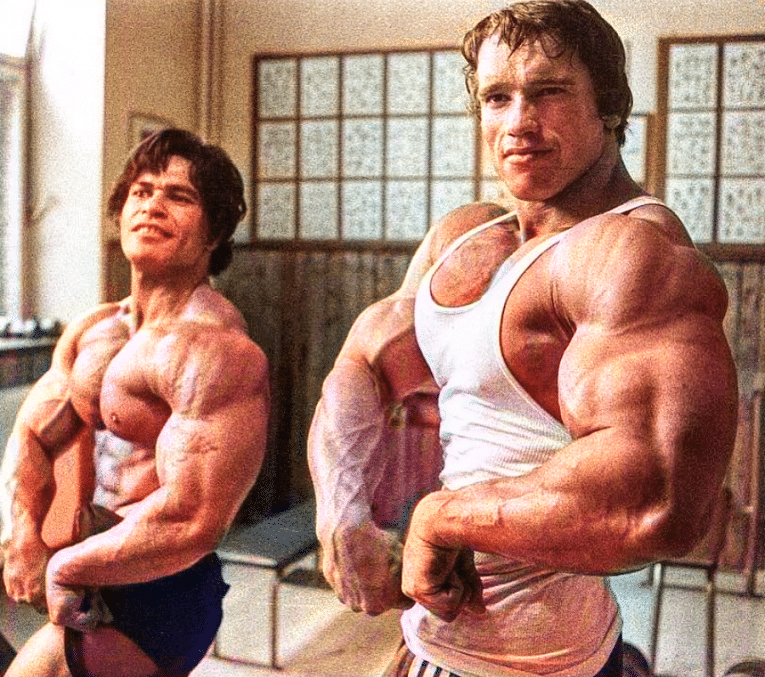 Arnold Press Exercise Guide — HowTo, Muscles Worked, Variations, and