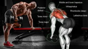 Best Bent Over Row Alternatives