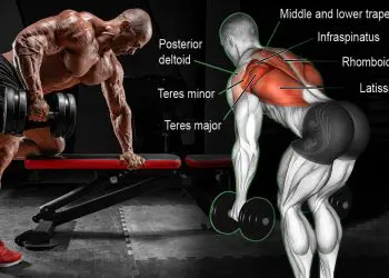 Best Bent Over Row Alternatives