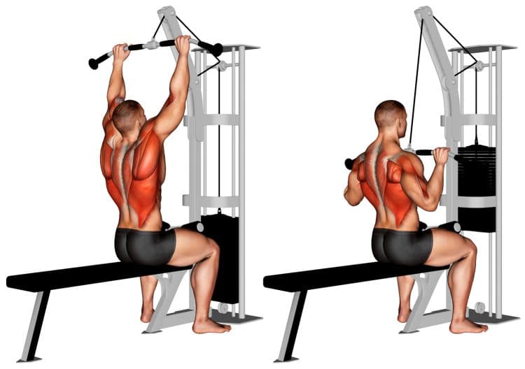 Cable Pulldown Back