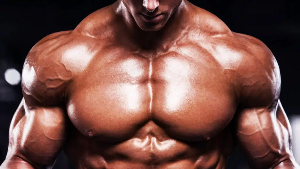 Deltoid Cable Machine Exercises