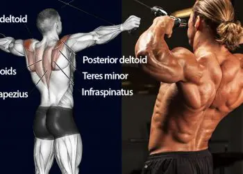 Face Pull Alternatives