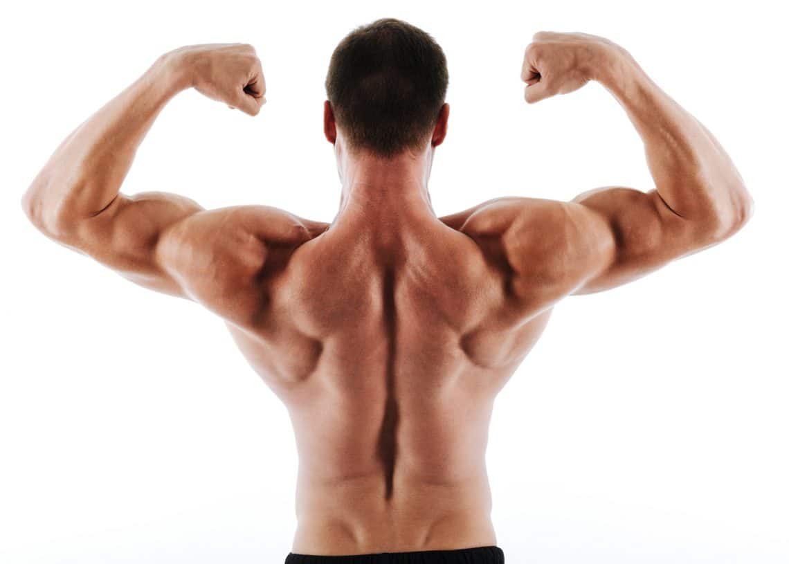 10 Best Face Pull Alternatives Exercises for Better Posture and