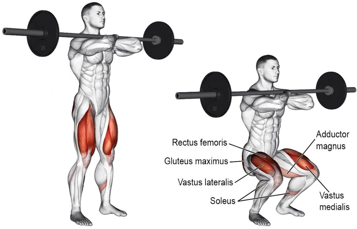 9 Best Front Squat Alternatives for Mass, Strength, and Athletic