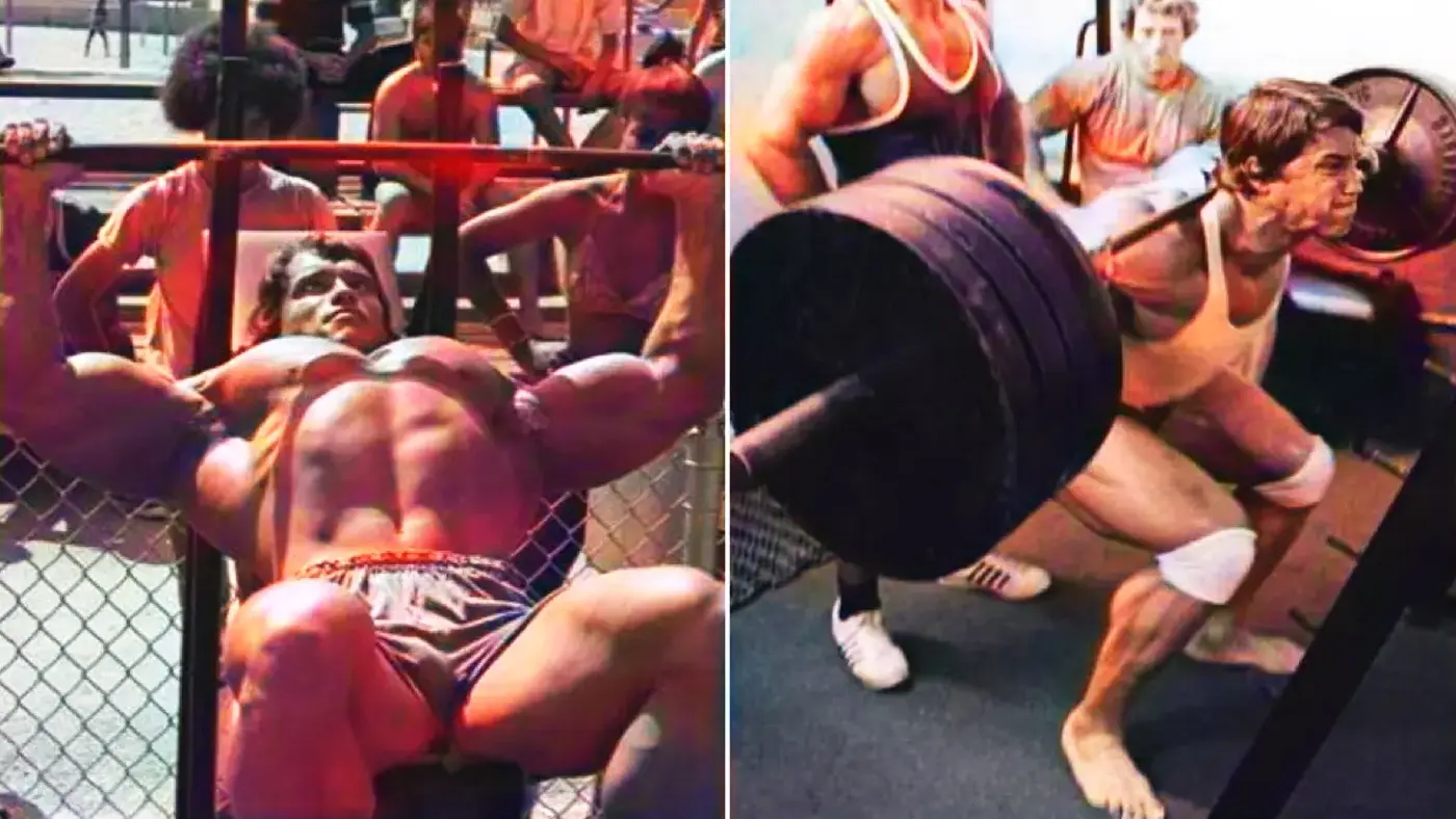 Full Body Workout Plan