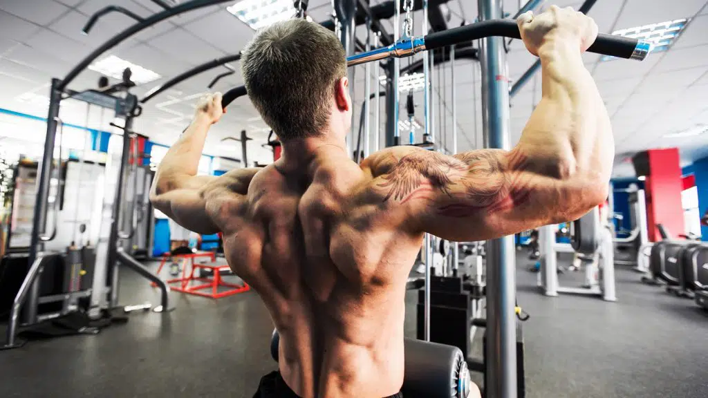 Hammer Strength Lat Pull Alternative