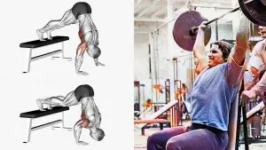 Shoulder Press Alternatives