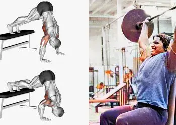 Shoulder Press Alternatives