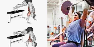 Shoulder Press Alternatives