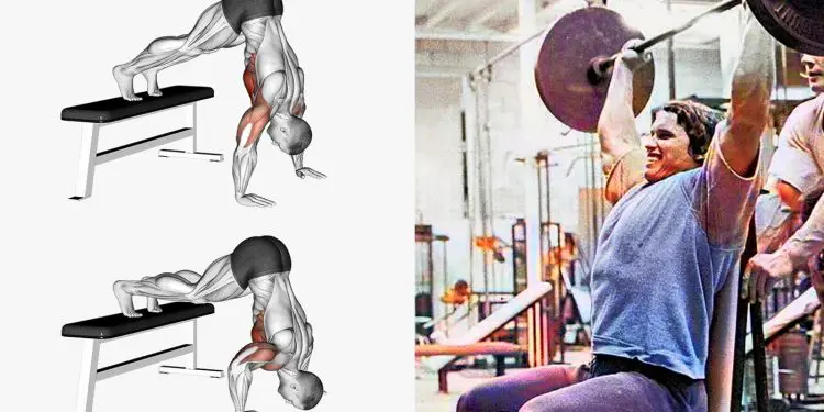Shoulder Press Alternatives