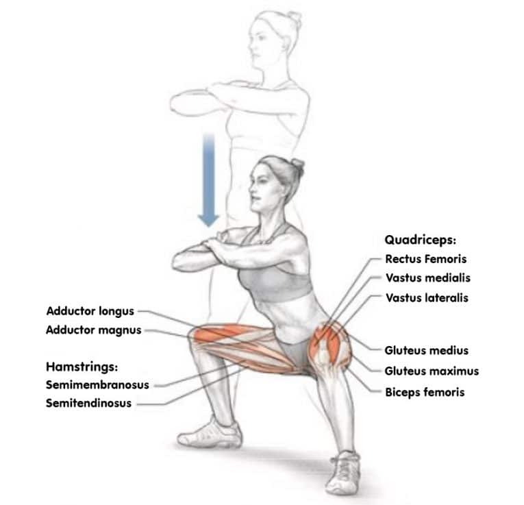 Wide Stance Squats Guide Muscles Worked, HowTo, Tips, and Variations