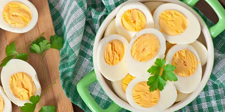 Boiled Egg Diet