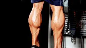 Calf Raise Machine Alternatives